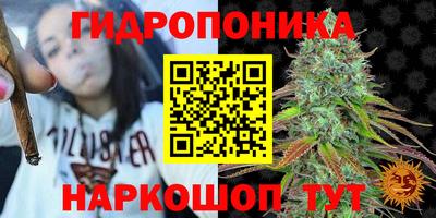 дурь Тверь
