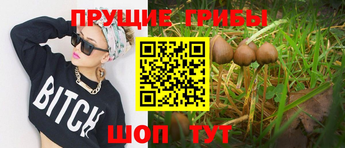Нефтекамск  Псилоцибиновые грибы Psilocybe  Вход с VPN 