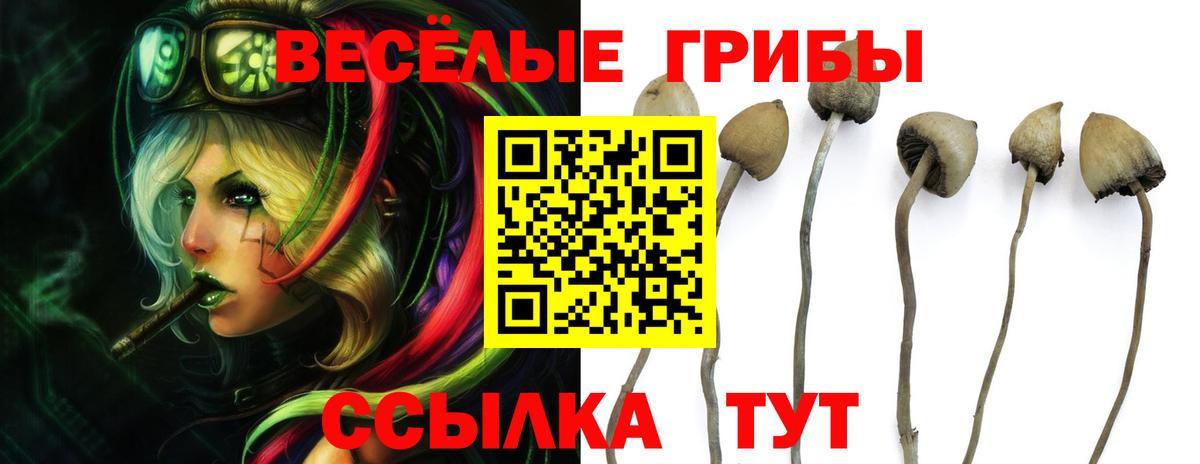 Галлюциногенные грибы Magic Shrooms Нефтекамск